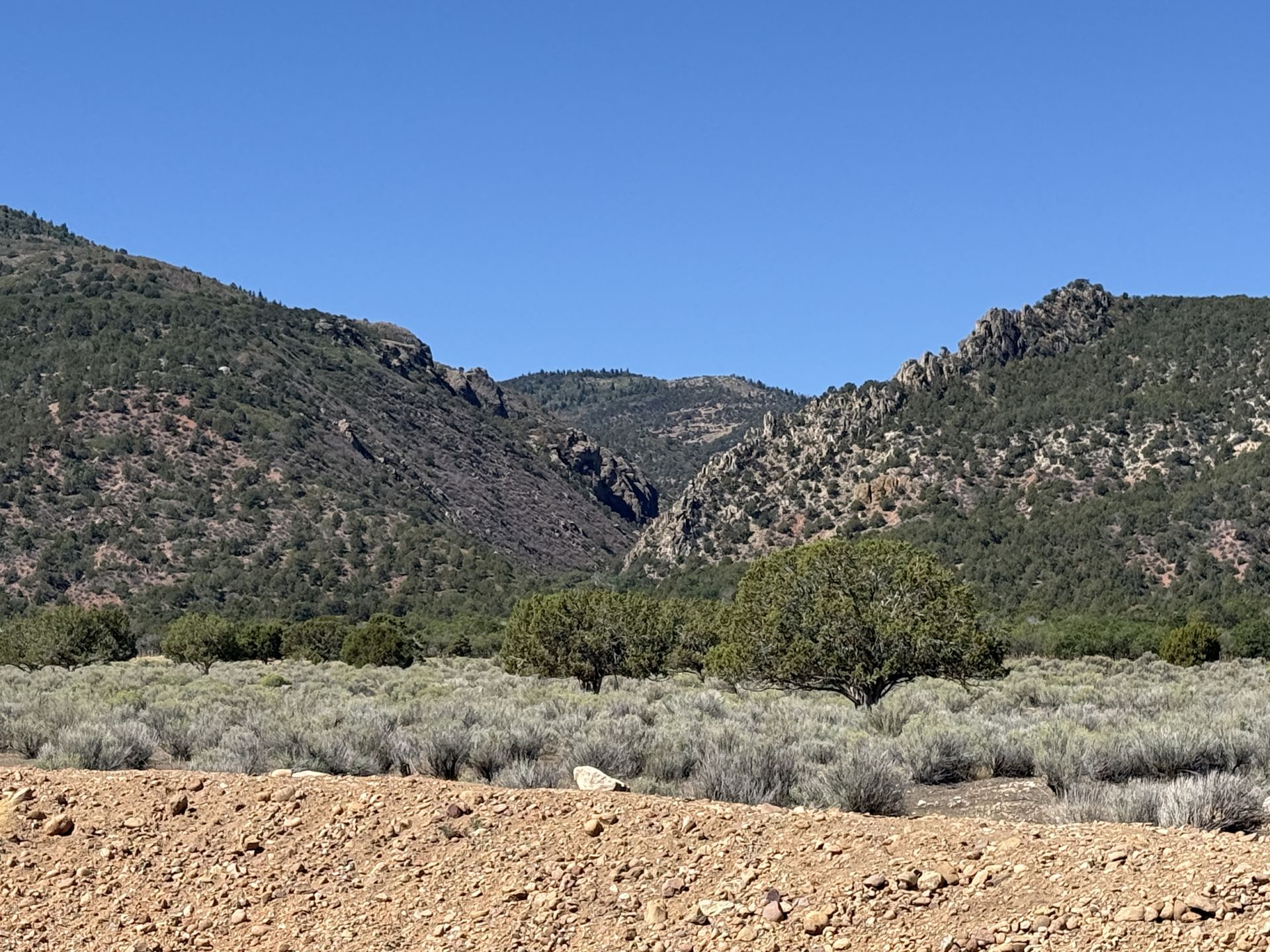Open sagebrush rangeland below juniper-covered foothills in western Sanpete County, Utah